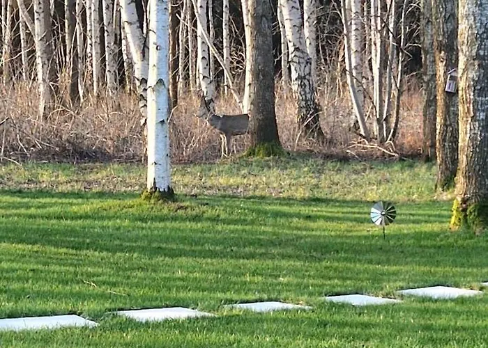 شقة Mon Ci Boutique بالانغا